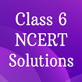 Class 6 NCERT Solutions icon