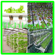 Hydroponic Planting System Ideas