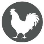 Cover Image of Baixar The Chicken  APK
