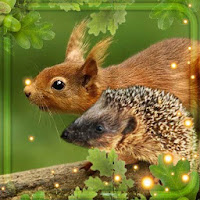 Squirrel and Hedgehogs Live Wallpaper