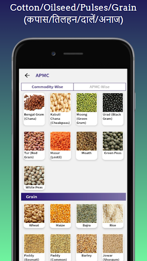 Agri Commodity Rate / मंडी भाव Screen 3