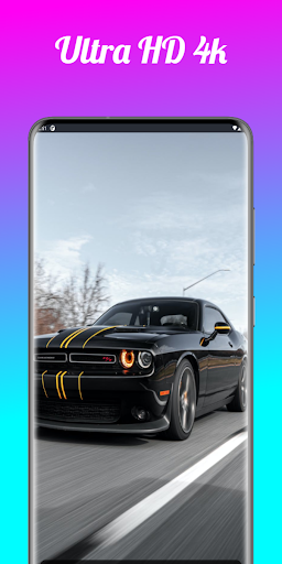 Walify - 4k, HD Wallpapers App Screen 3