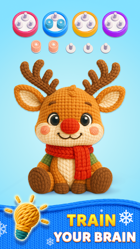 Wool Knit - Color Sort 3D