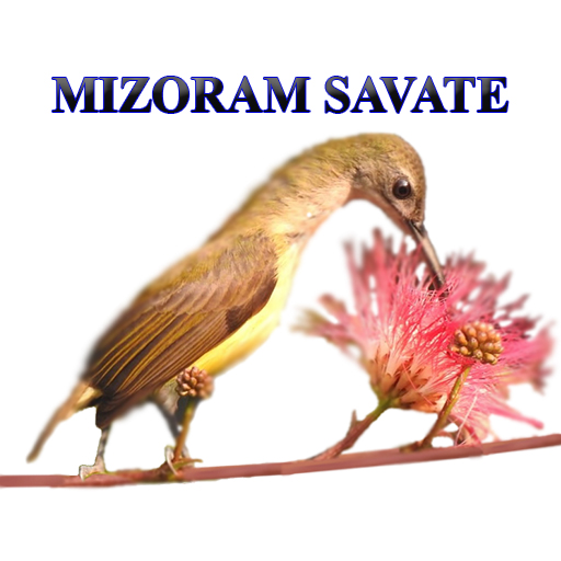 Mizoram Savate logo
