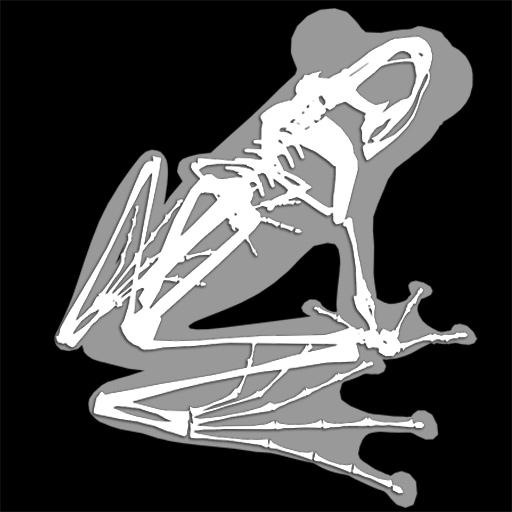 3D Frog Skeleton  Icon