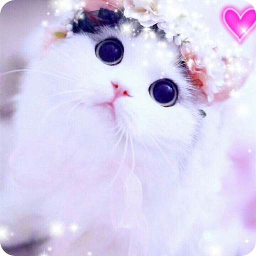 cute cat wallpaper logo