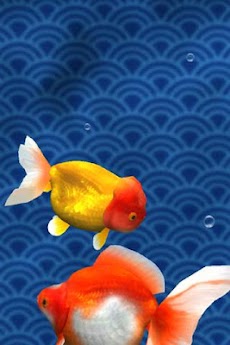 金魚 Gold Fish 3D free ライブ壁紙のおすすめ画像1