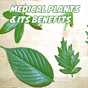 Top Medicinal Plants And Its Uses