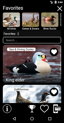 Birds of North America: Decoys Screen 2