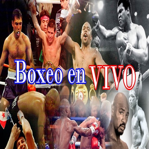 SOLO BOXEO EN VIVO logo