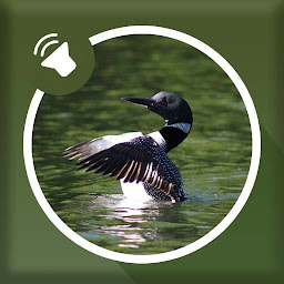 Icon image Loon Sounds