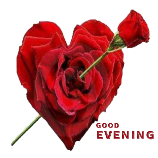Sweet messages good evening stickers for whatsapp