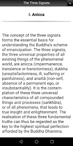 Buddhism: The Three Signata Screen 3
