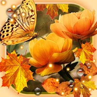 Цветы Осень HD Живые Обои