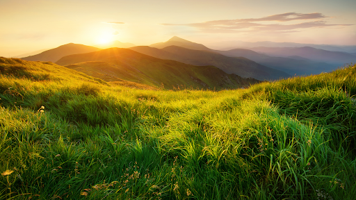 Nature Wallpapers