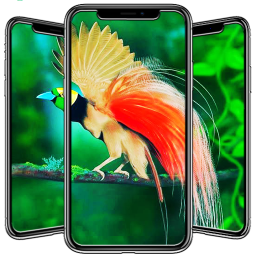 Bird Wallpaper Descarga en Windows