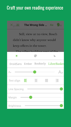 Audiobook Reader Screen 3