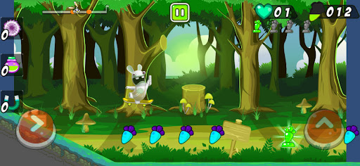 Jungle Rabbit Adventure Skati