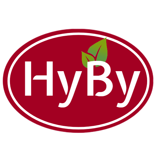HyBy: Hosur Online Supermarket logo