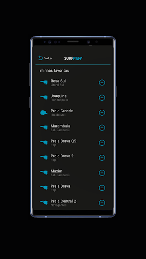 SurfView Screen 3