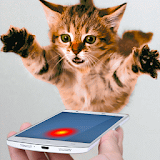 Laser Cat Simulator icon