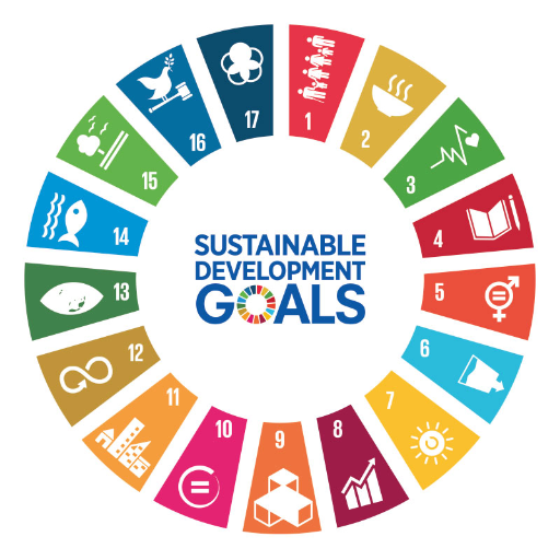 SDG logo