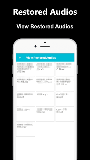 Deleted Audio Recovery