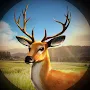 Deer Hunting Sniper Clash Game