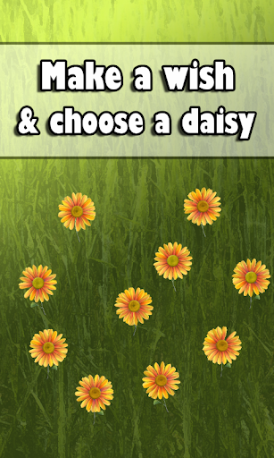 Daisy of Wishes Screen 2