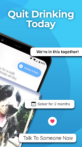 Sober Sidekick: Quit Drinking - Apps On Google Play