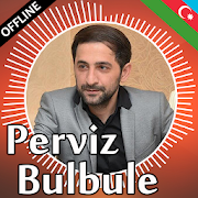 Perviz Bulbule