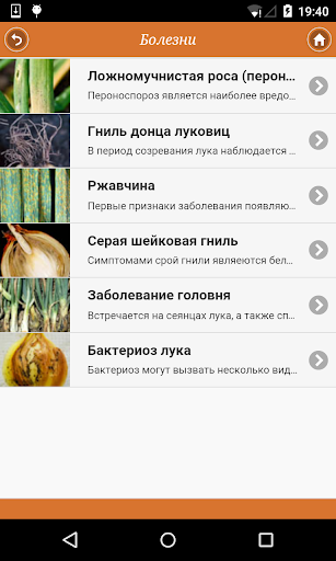 Лук: от «А» до «Я» Screen 3