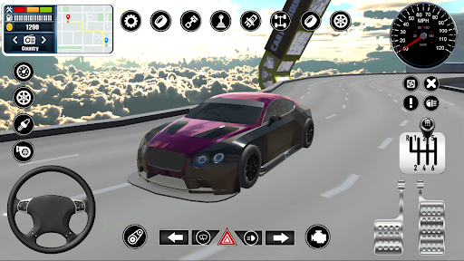 Indian Cars Simulator 3D