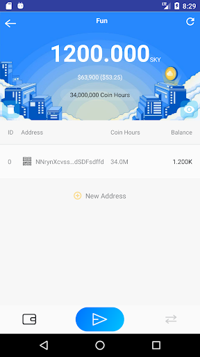 Skycoin Wallet Screen 2