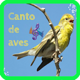 Bird song icon