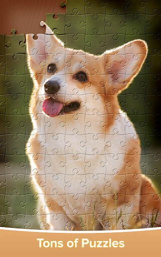 Jigsaw Puzzles - Puzzle Game 1.2.0 screenshots 14