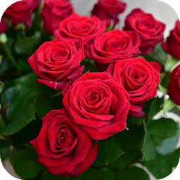 「باقات الورد رائعة」のアイコン画像