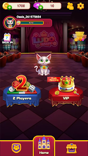 Ludo Oasis Dice Board Game 1