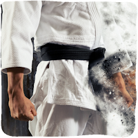 Karate Technique  Moves Guide