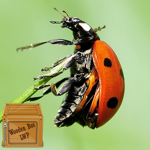beetle wallpaper logo
