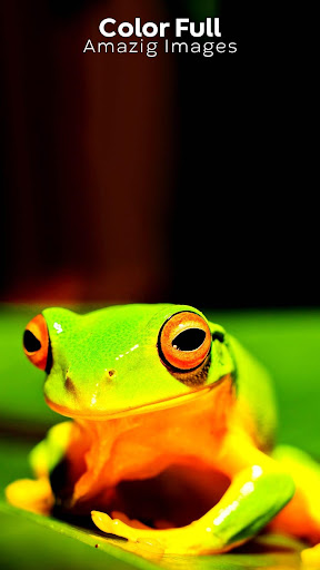 All Real Animal Sound And Name