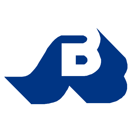 Sindicato Banamex Org logo