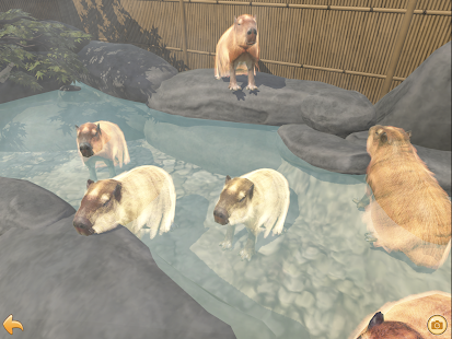 Capybara Spa 1.2.0 APK screenshots 11