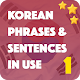 Korean Sentence In Use: Real-life Korean sentences Download on Windows