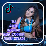 DJ Aduh Mamae Ada Cowok Baju Hitam TikTokViral2021 icon