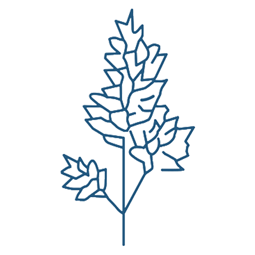 Itk diary card logo