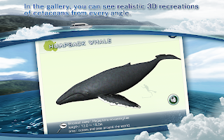 REAL WHALES Find the cetacean.