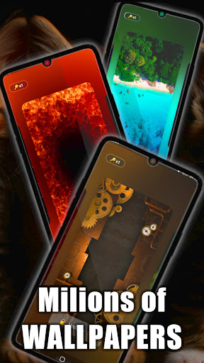 Kittens Live Wallpaper Screen 2