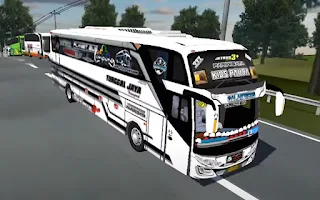 Bus Telolet Basuri Kids Panda - Screenshot 2