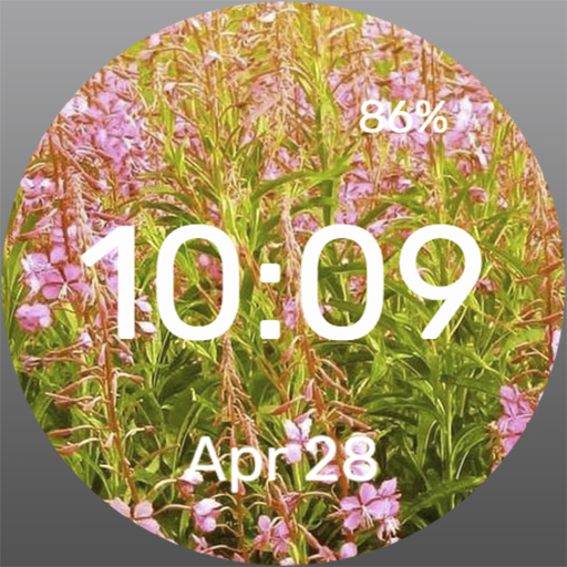 Wildflowers - Watch Face Download on Windows